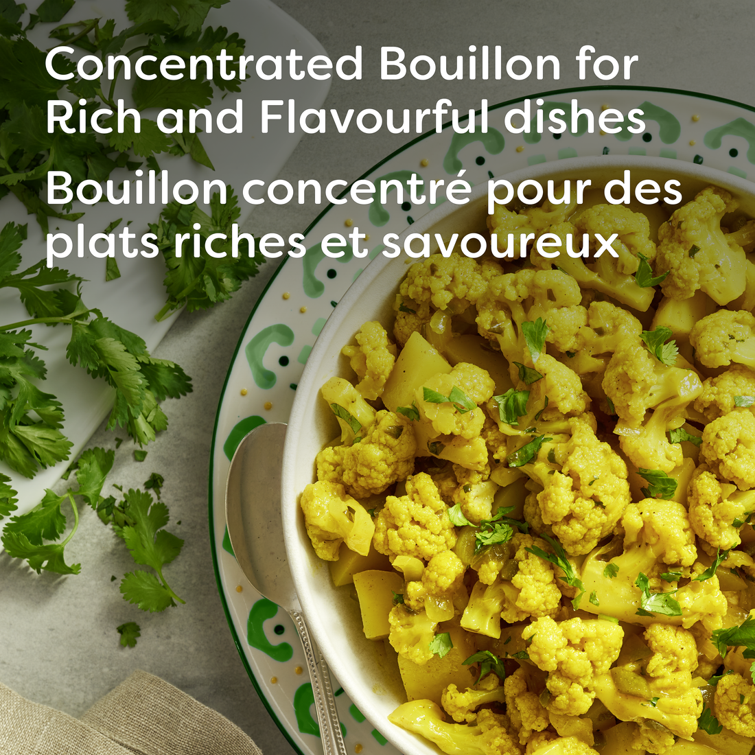 Knorr Taste of India Concentrated Bouillon, 250ml/8.75 fl. oz., Bottle {Imported from Canada}